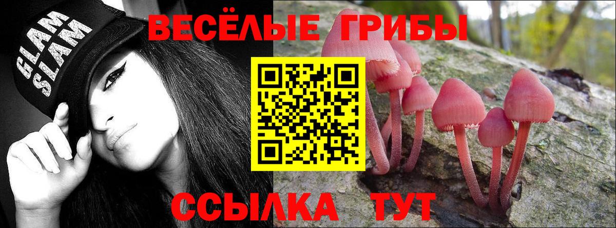 как найти закладки  Вход с VPN  Когалым  Псилоцибиновые грибы Psilocybine cubensis  Псилоцибиновые грибы MAGIC MUSHROOMS 